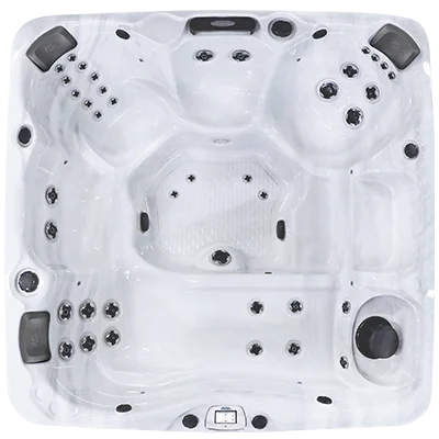 Avalon-X EC-840LX hot tubs for sale in North Charleston