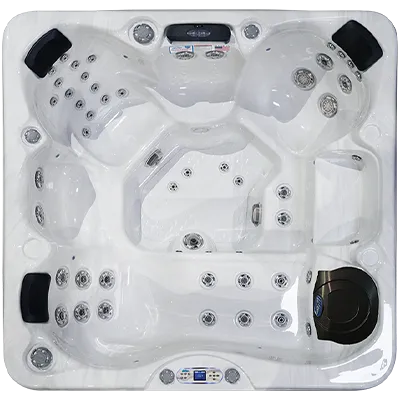 Avalon EC-849L hot tubs for sale in North Charleston